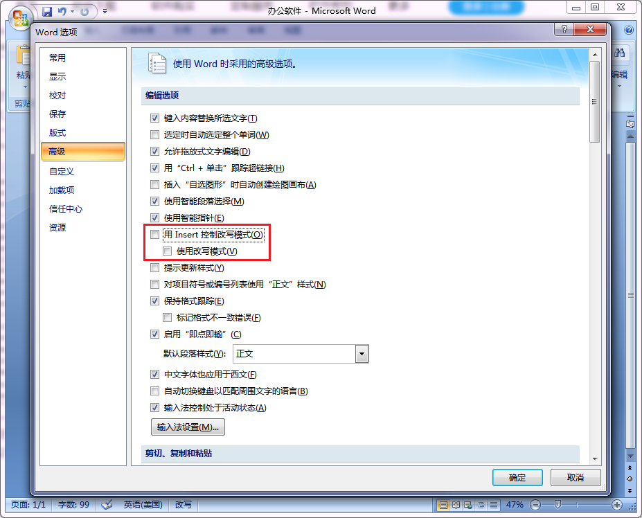 Word选项