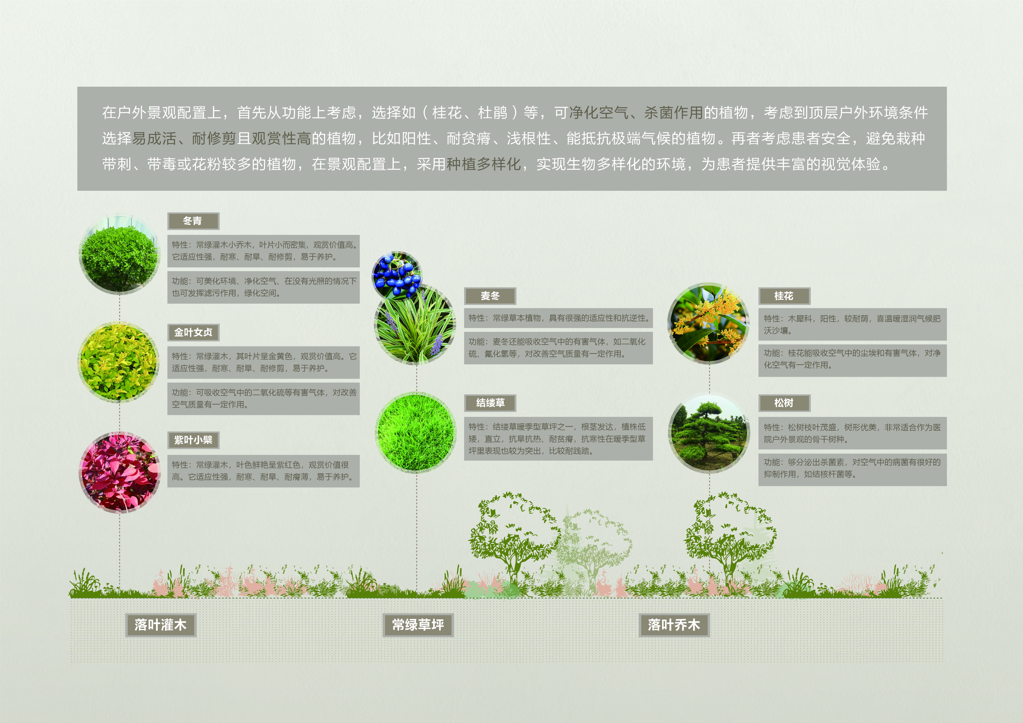 邵逸夫医院户外草坪-12.jpg