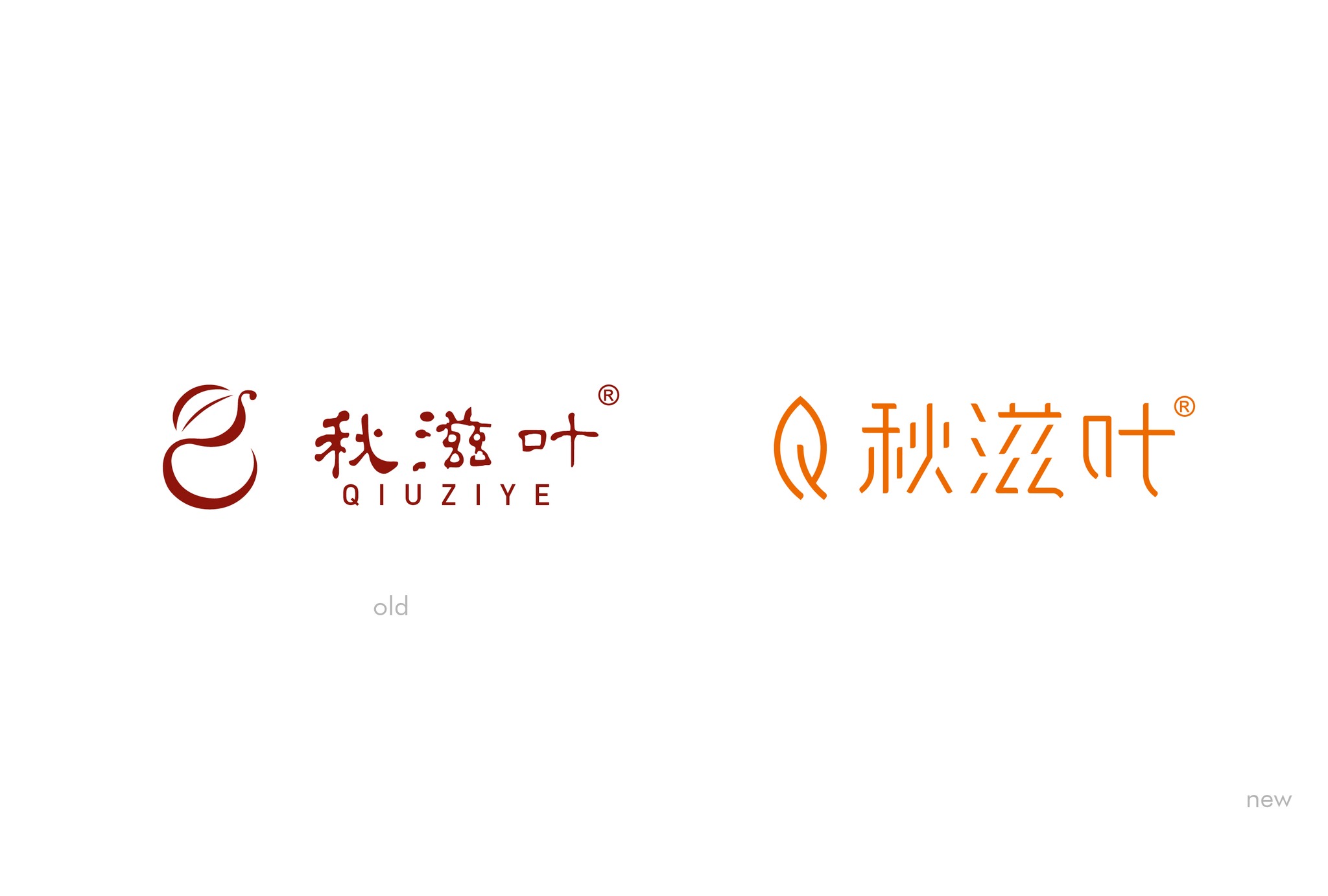 秋滋叶上传模版-01.jpg