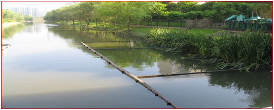 未標題-8.jpg