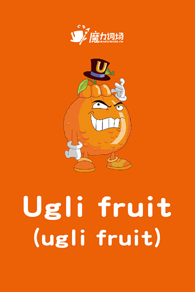 魔力词场:自然拼读英语启蒙神器